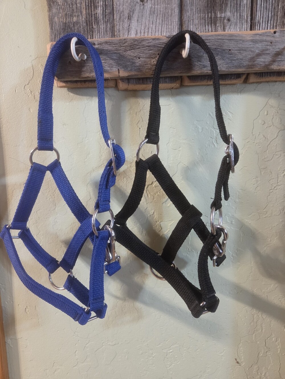 Suckling Horse Halters